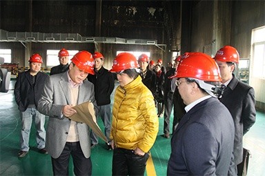 2012年1月31日，，，时任黄冈市委书记鲁俊携带市发改委等市级部门掌管人到公司调研