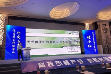 永利集团88304官网纸业高技术人才张小红在第一届浙江省！（龙游）纸基新资料产业创新发展大会作分享